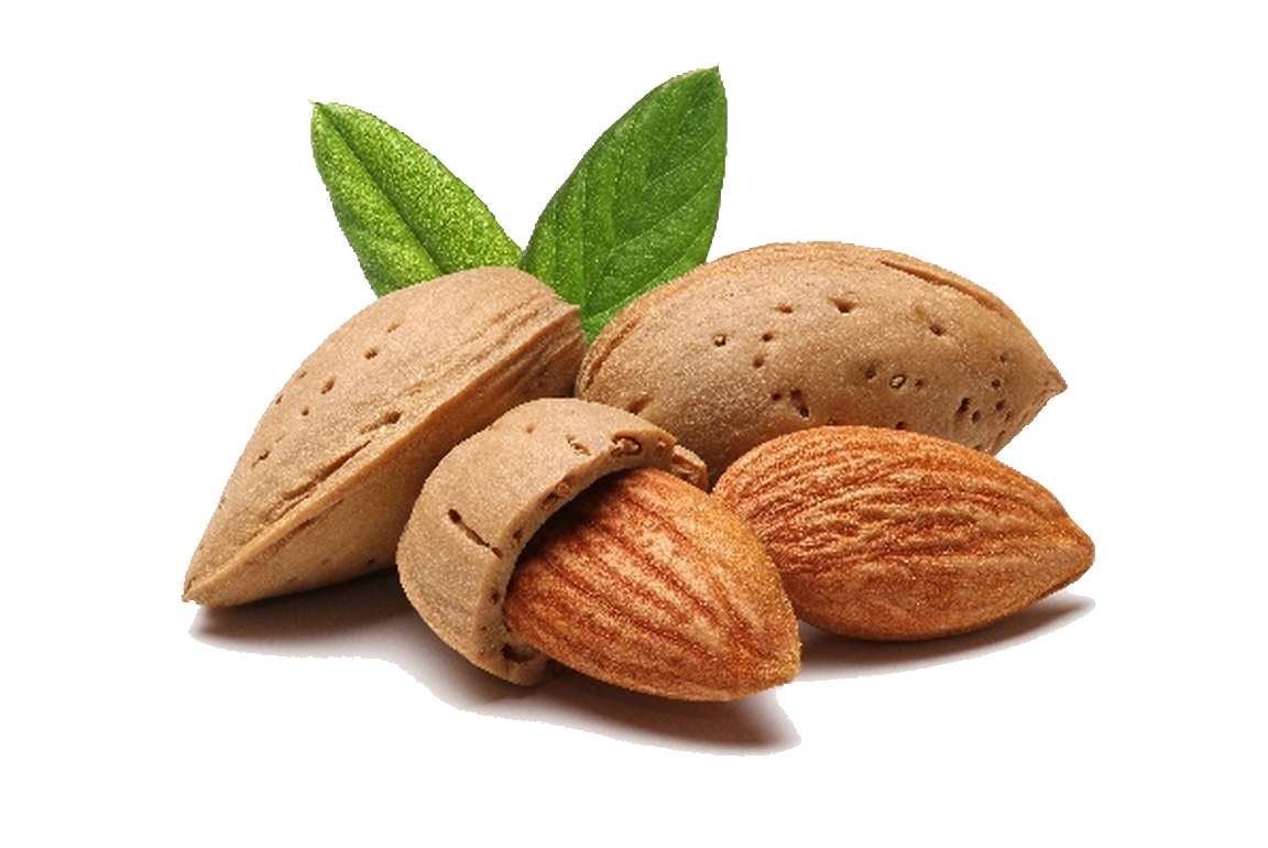 Download Almond Png File HQ PNG Image | FreePNGImg