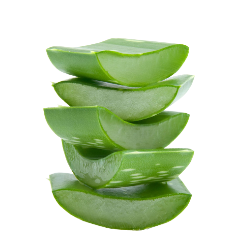 Aloe File PNG Image