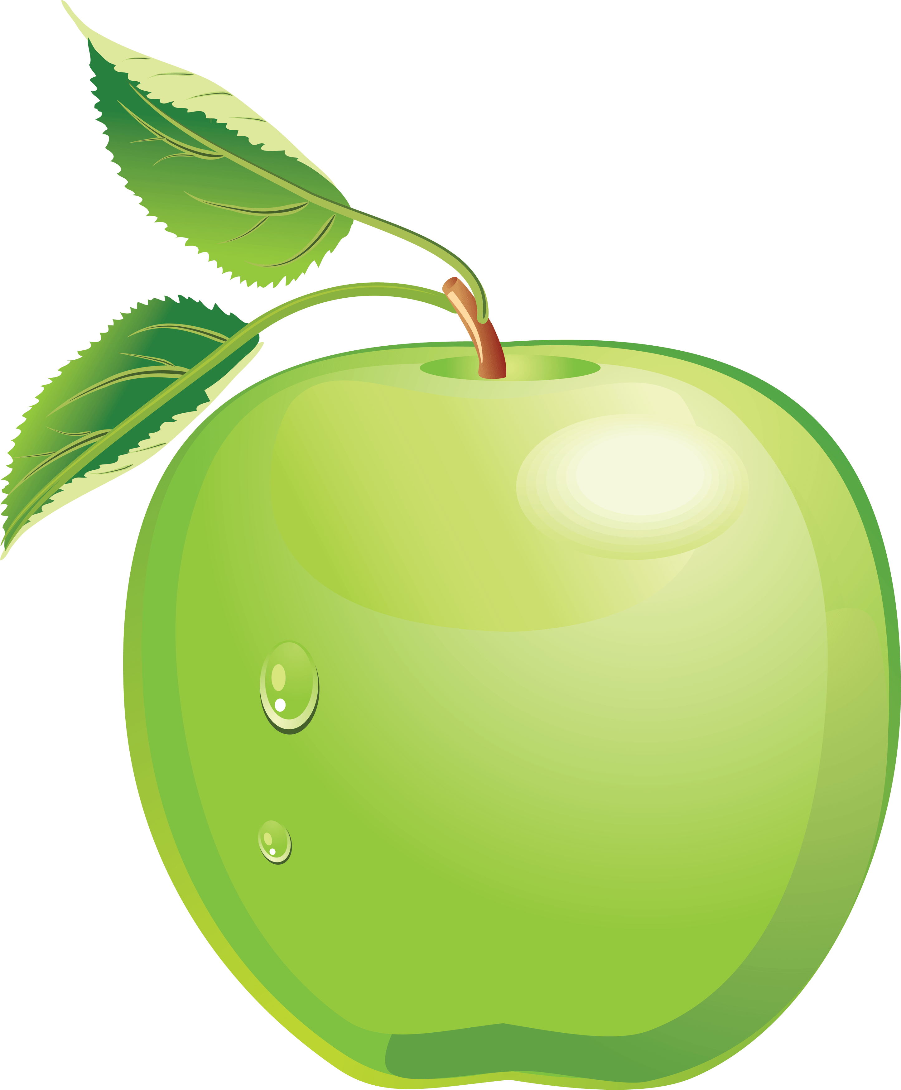 Download Green Apple Png Image HQ PNG Image FreePNGImg