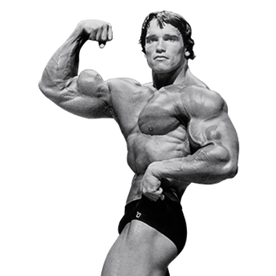 Download Arnold Schwarzenegger File HQ PNG Image | FreePNGImg