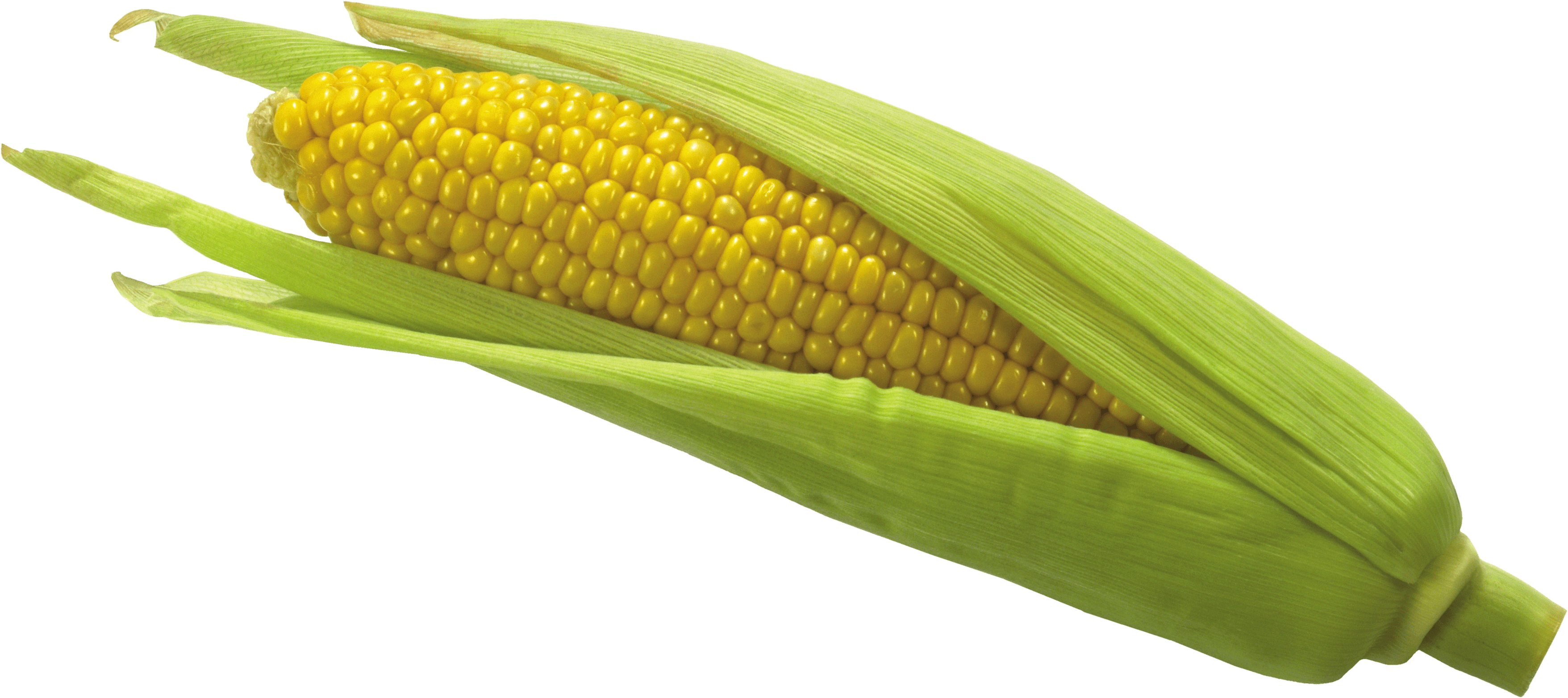 Download Corn Png Image HQ PNG Image | FreePNGImg
