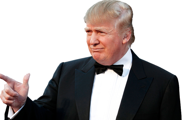 Download Donald Trump Png Clipart HQ PNG Image | FreePNGImg