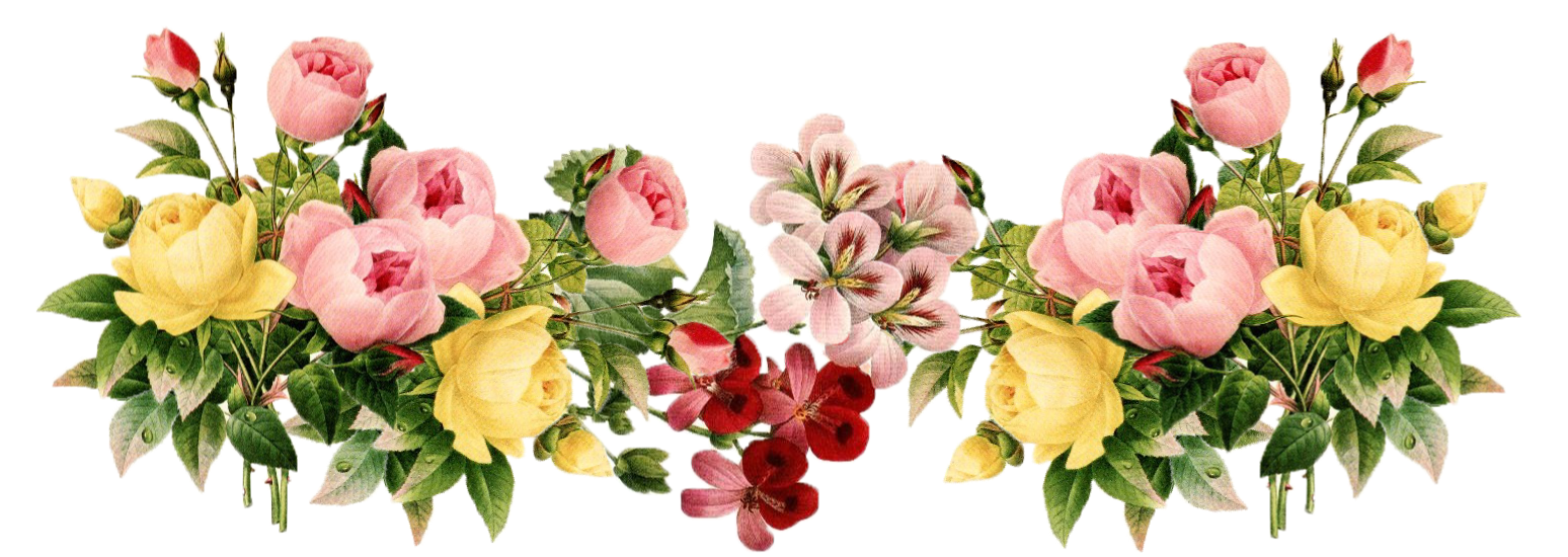 Download Flowers Png 3 HQ PNG Image FreePNGImg