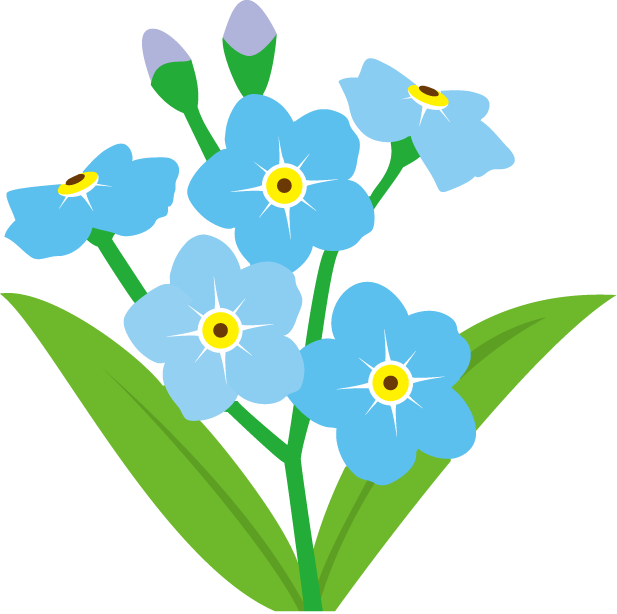 Forget Me Not Transparent Background PNG Image