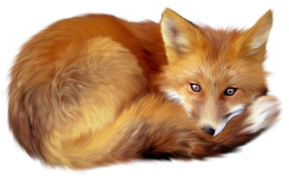 Download Fox Png 5 HQ PNG Image | FreePNGImg