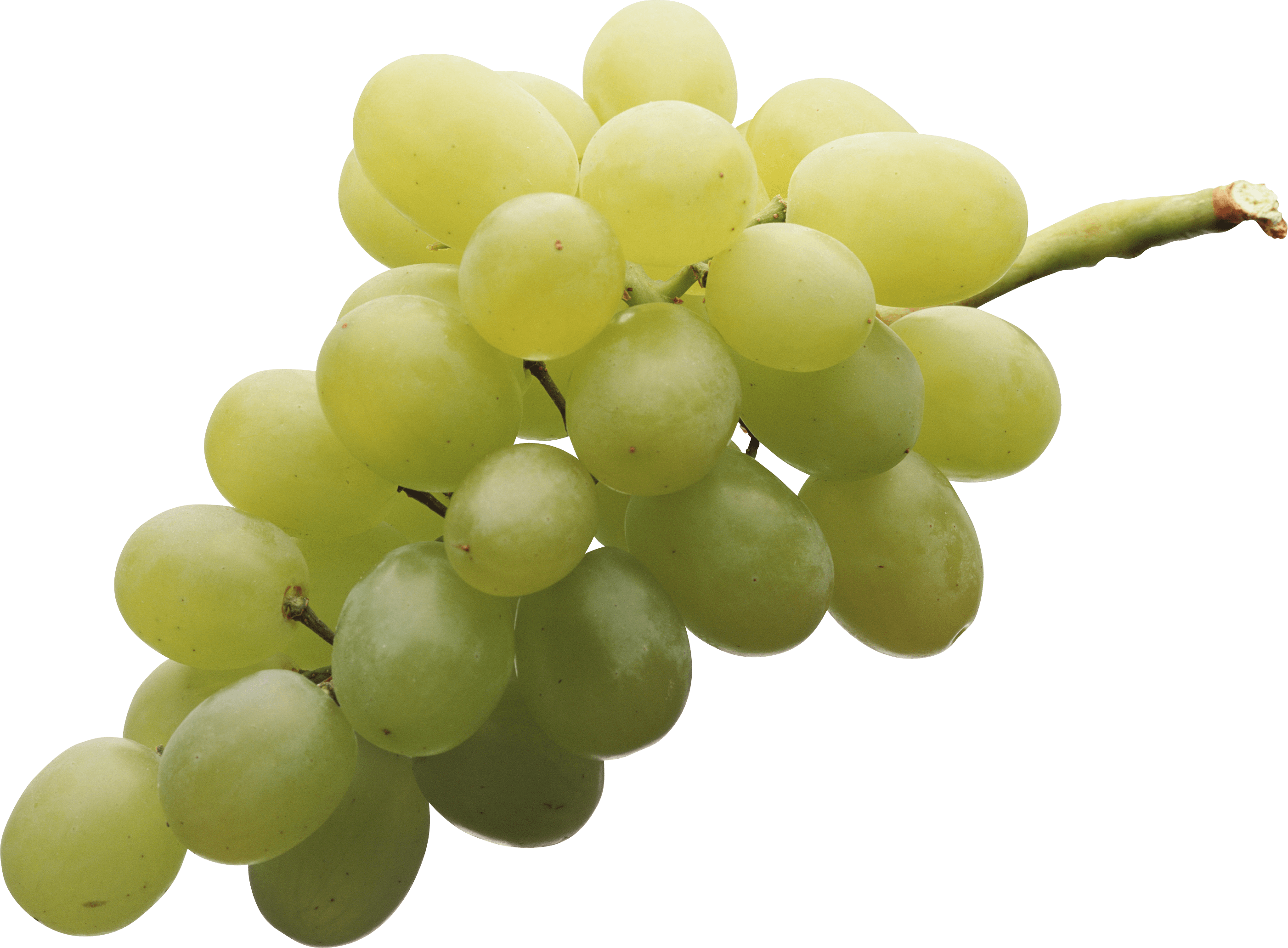Download Green Grape Png Image HQ PNG Image FreePNGImg
