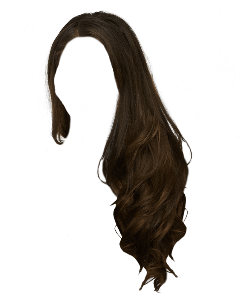 Download Women Hair Png Image HQ PNG Image | FreePNGImg