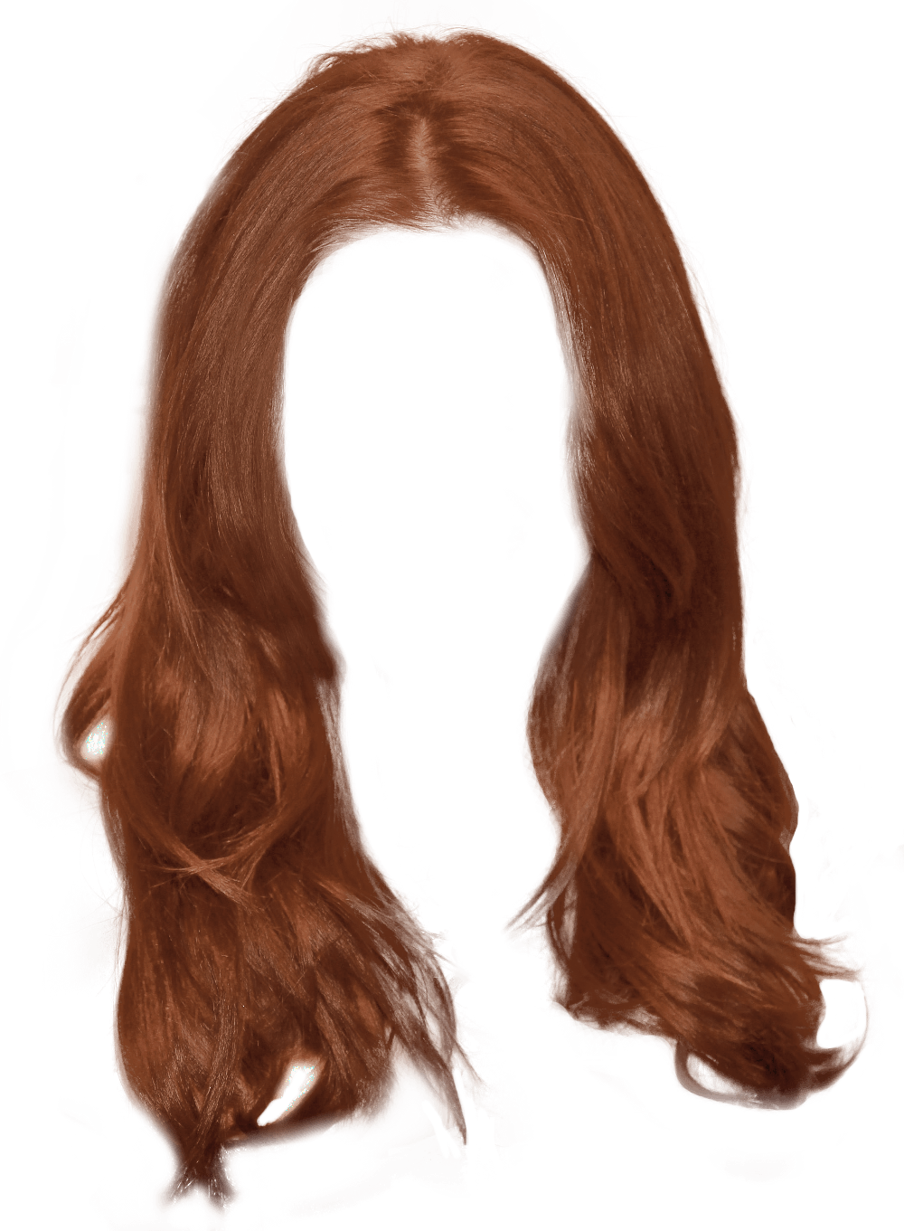 Download Hair Free PNG Photo Images And Clipart FreePNGImg
