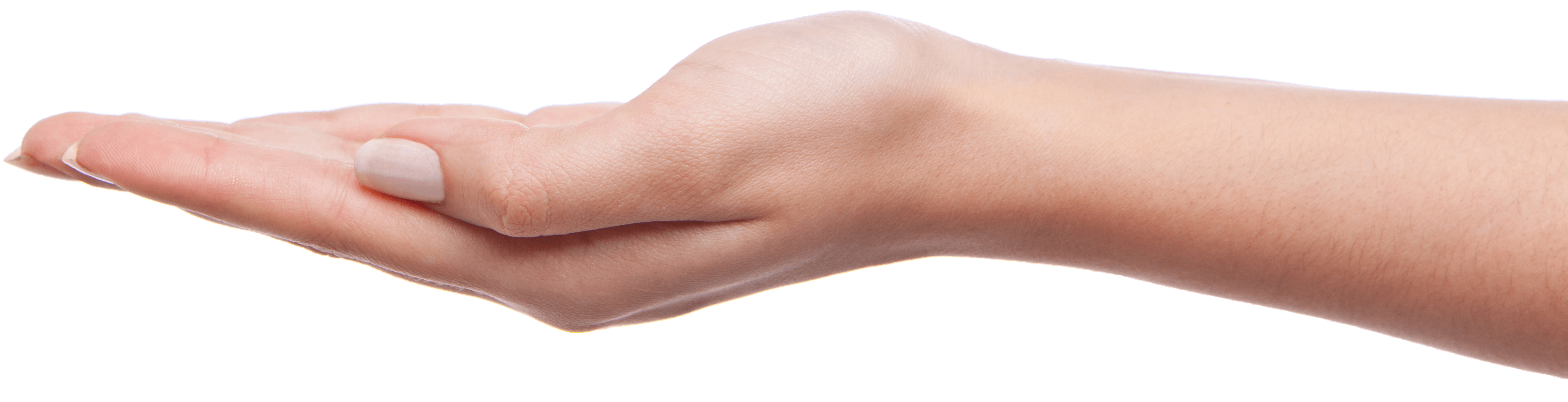Download Palm Hands Png Hand Image HQ PNG Image | FreePNGImg