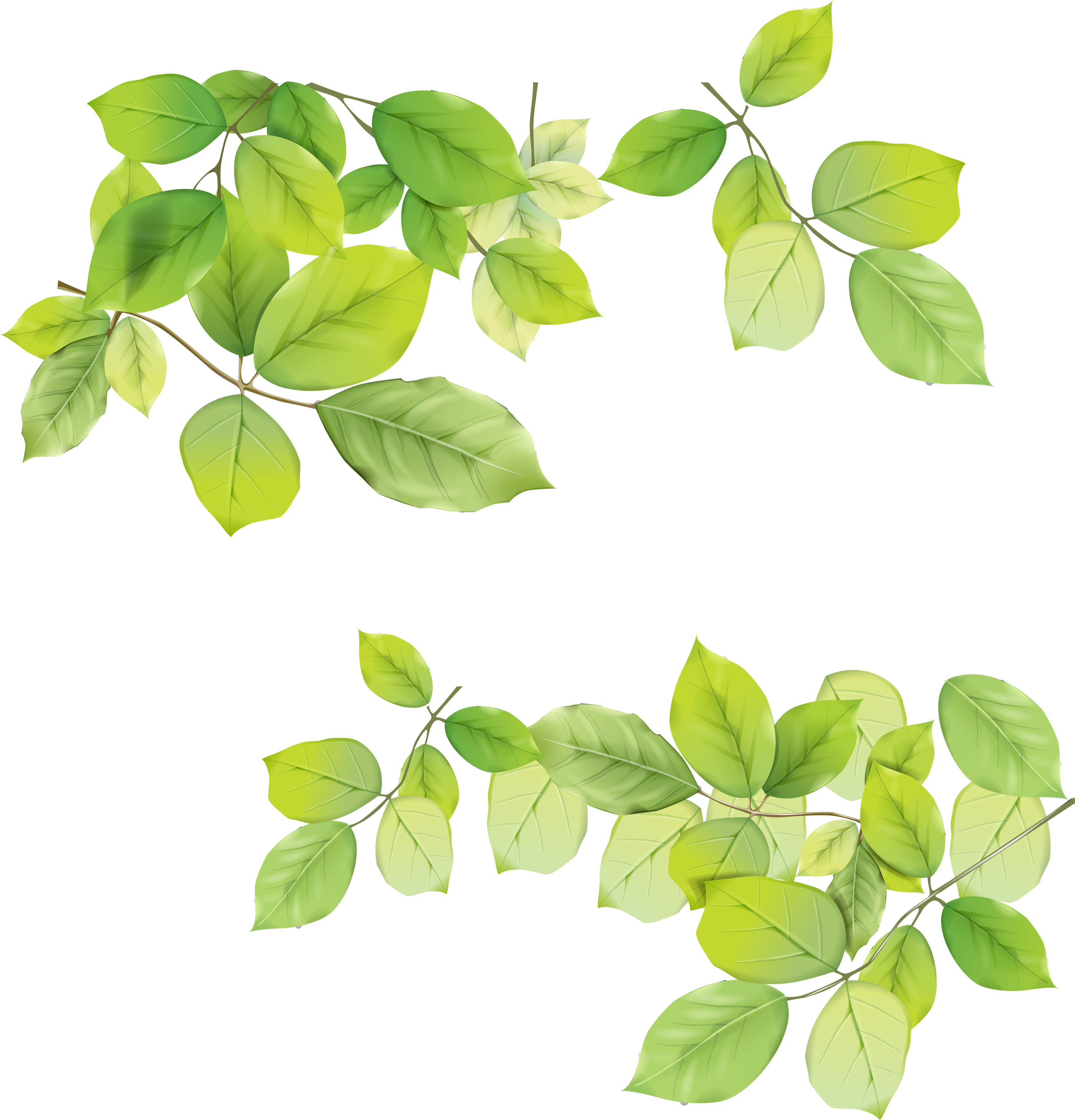 Download Leaves Png Picture HQ PNG Image | FreePNGImg
