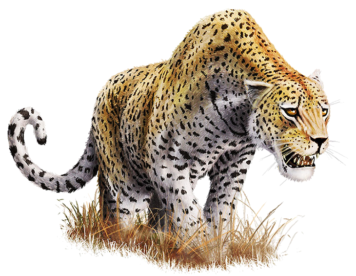 Download Leopard Transparent Background HQ PNG Image ...