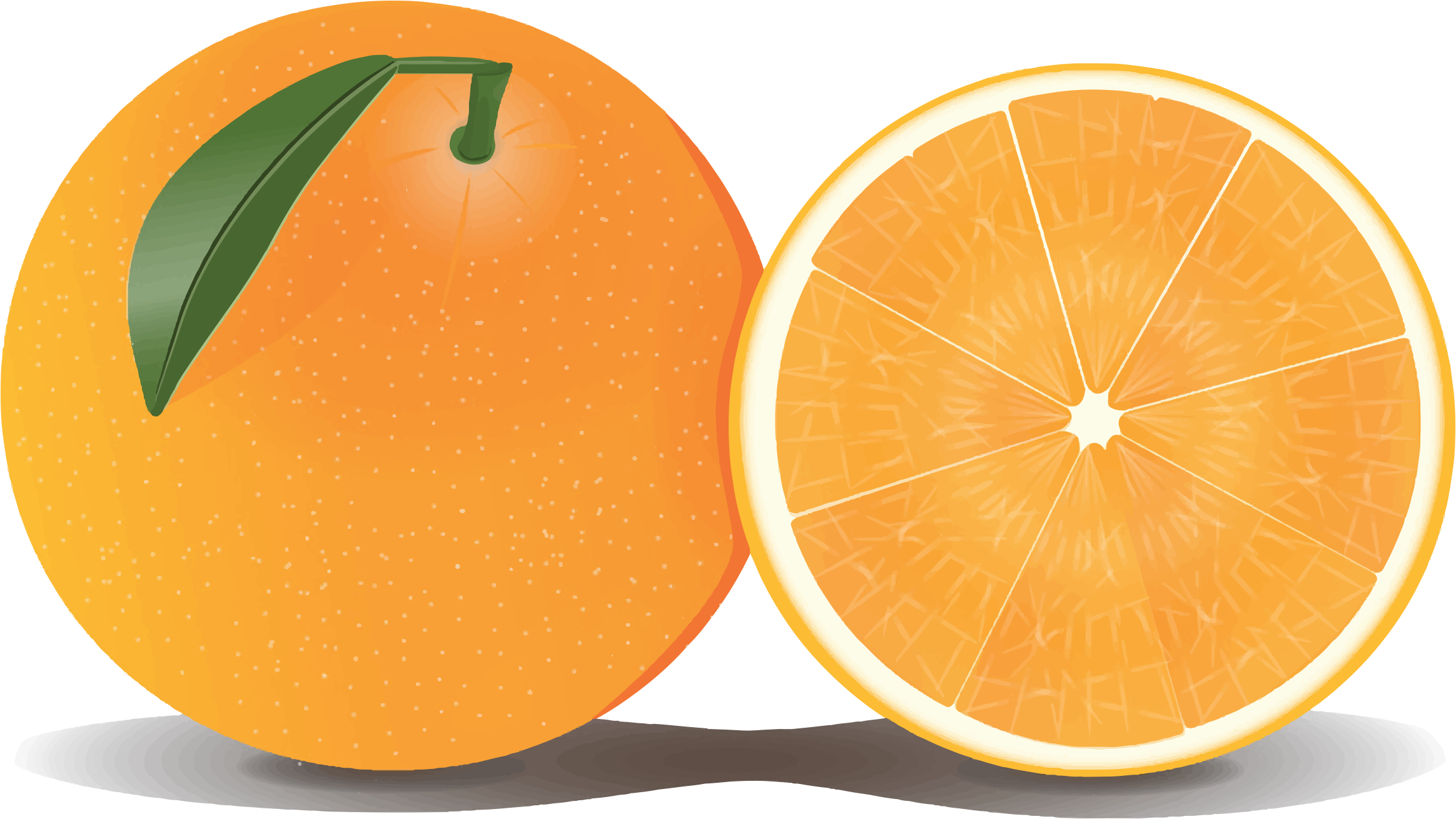 Download Orange Clipart HQ PNG Image | FreePNGImg
