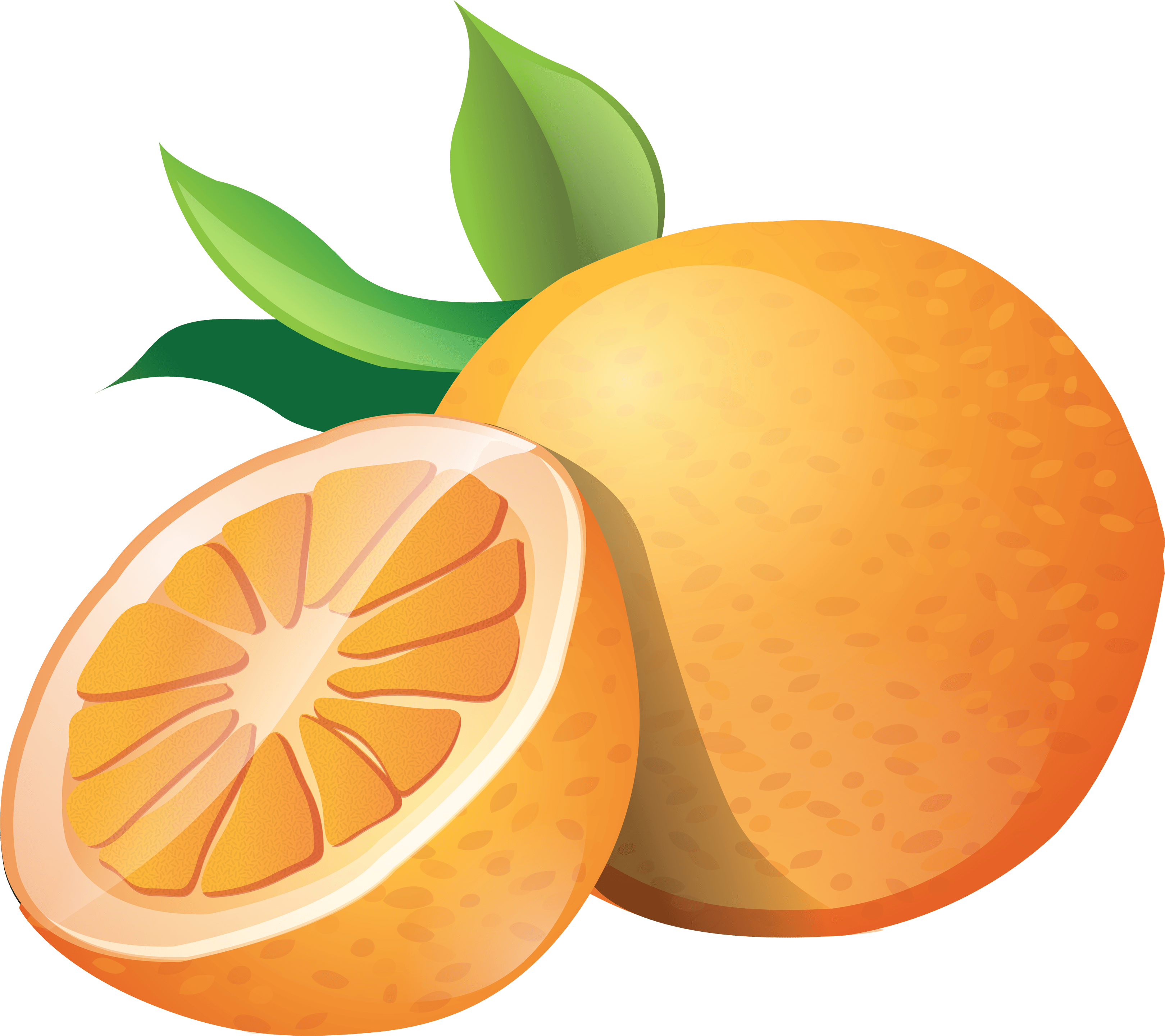 Download Orange Png Image Download HQ PNG Image | FreePNGImg