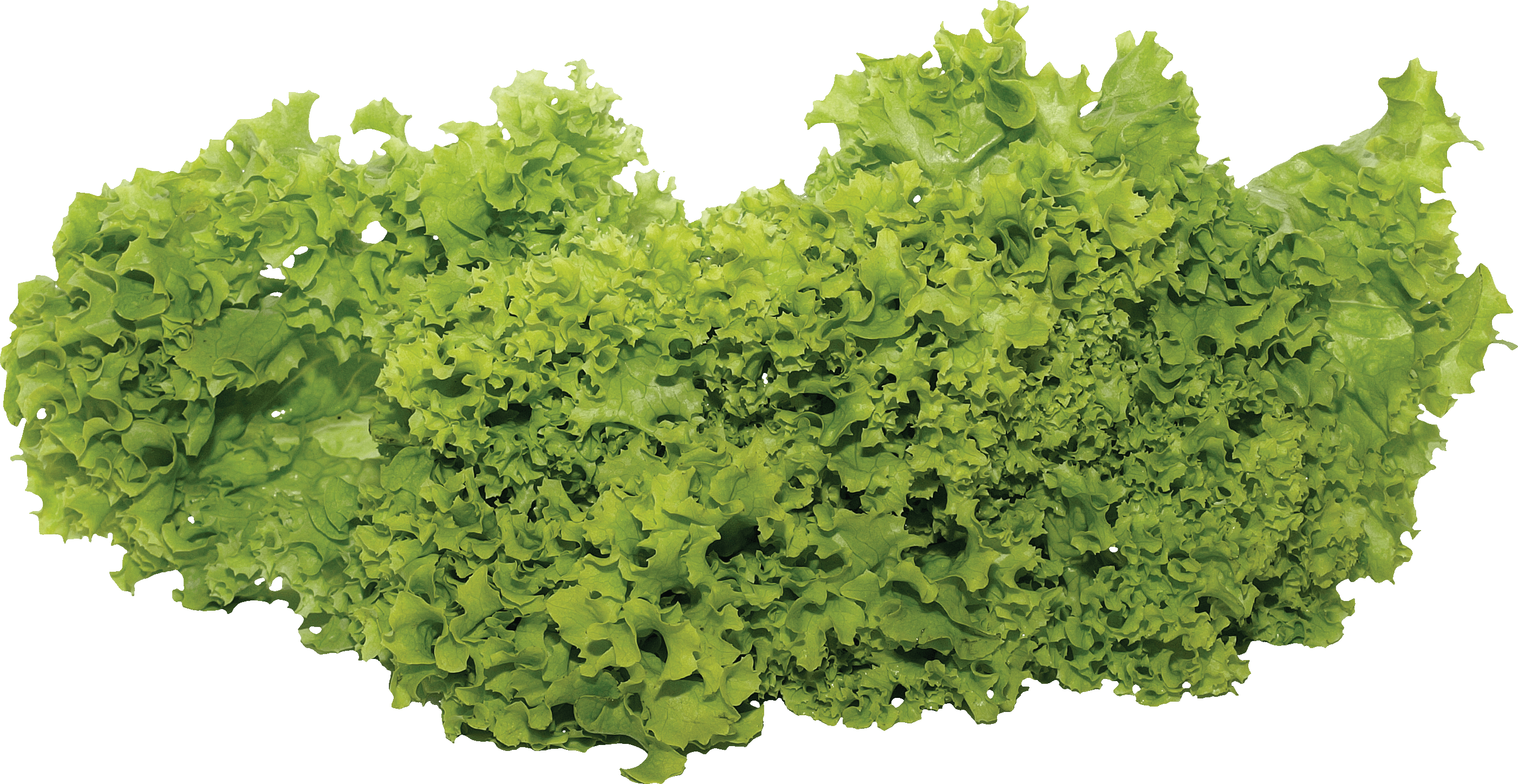 Green Salad Png Image PNG Image