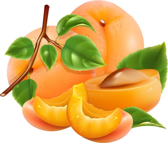 Apricot Up Close Free Download PNG HQ PNG Image