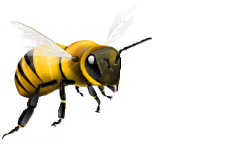 Honey Flying Bee Download HD PNG Image
