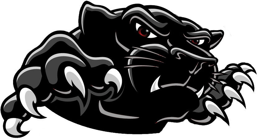 Black Panther Logo Transparent Background PNG Image