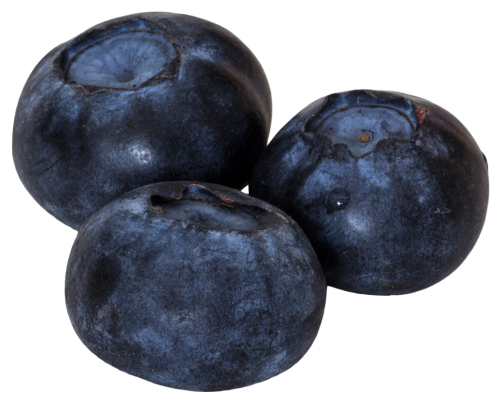 Blueberry Picture PNG Image