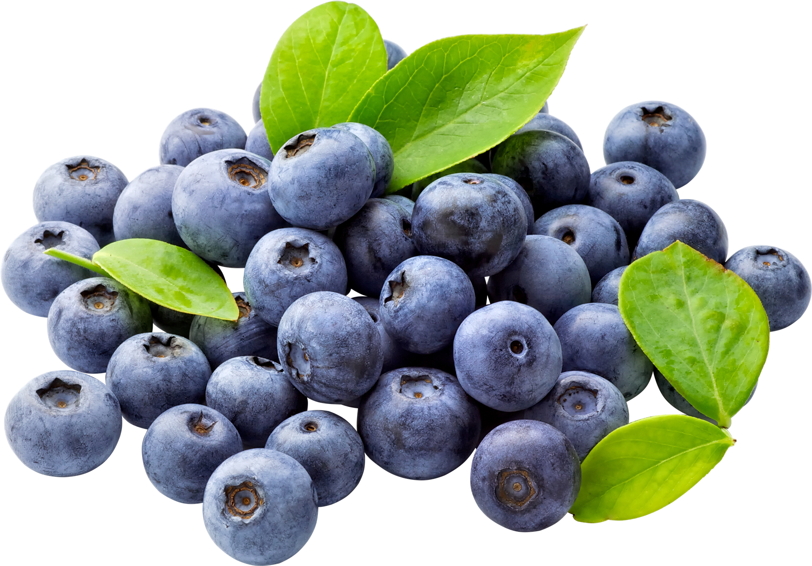 Blueberry Free Download PNG Image
