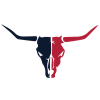 Houston Texans Image