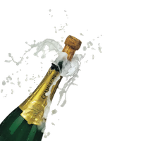 Download Champagne Free PNG photo images and clipart | FreePNGImg