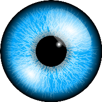 Download Eyes Png 9 HQ PNG Image | FreePNGImg