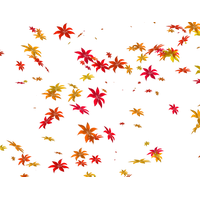 Download Flowers Png 7 HQ PNG Image | FreePNGImg
