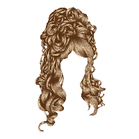 Download Hair Free PNG photo images and clipart | FreePNGImg