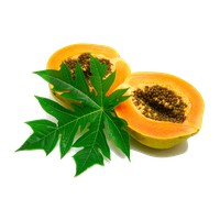Download Papaya Free PNG photo images and clipart | FreePNGImg