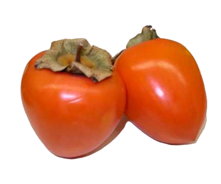 Persimmon Free Download Png PNG Image