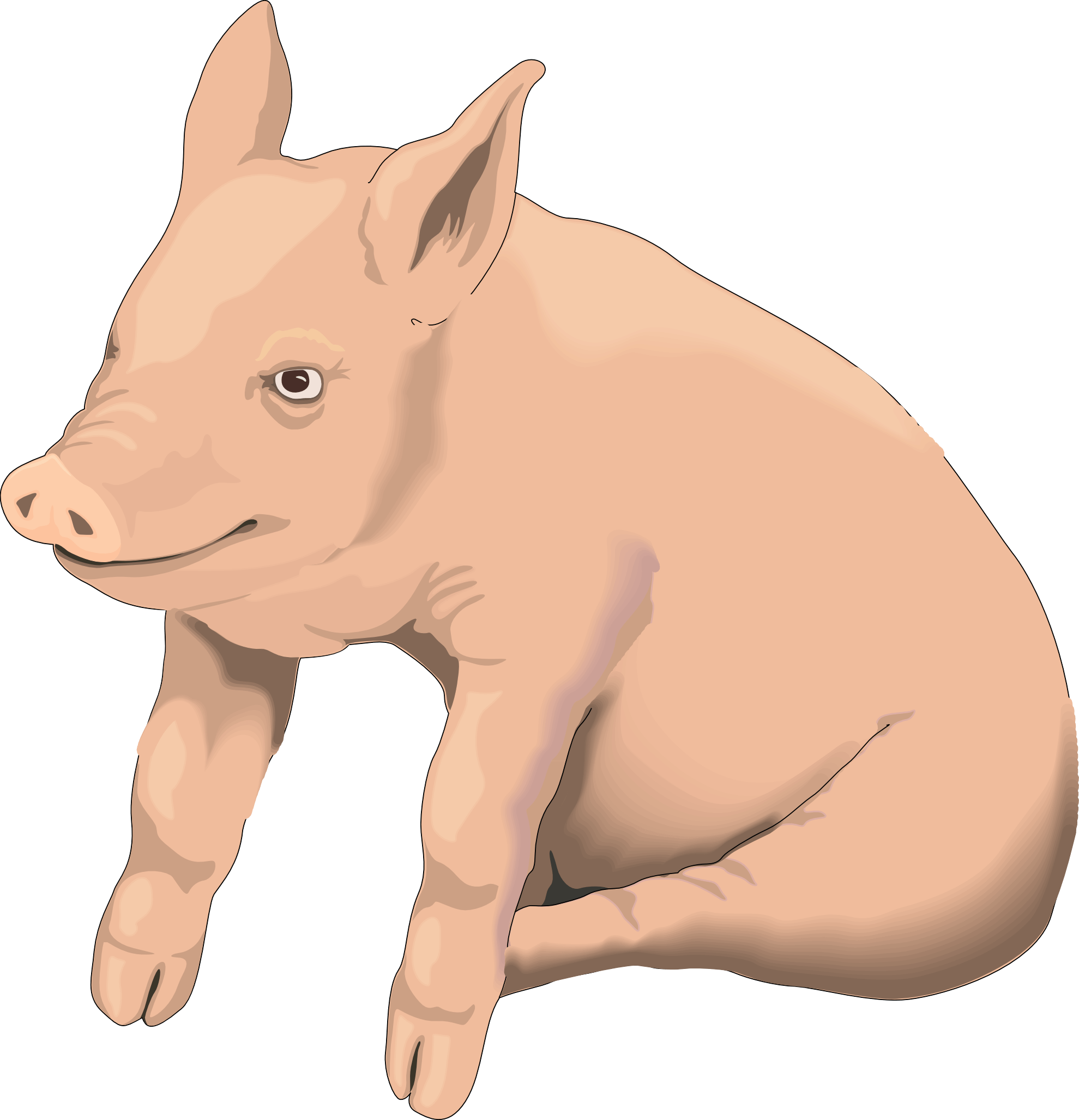 Picture Pig Png Image PNG Image