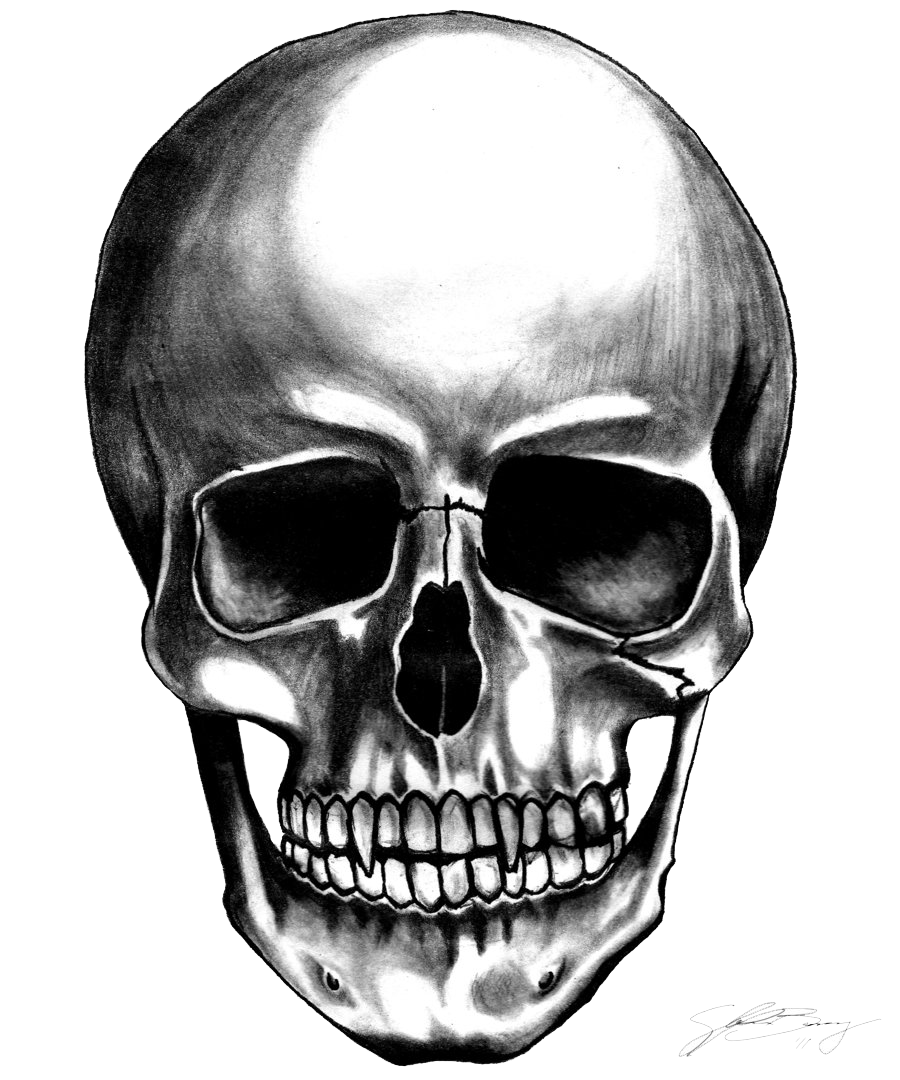 Skull Transparent Background PNG Image