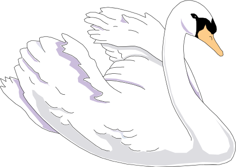 Swan Clipart PNG Image