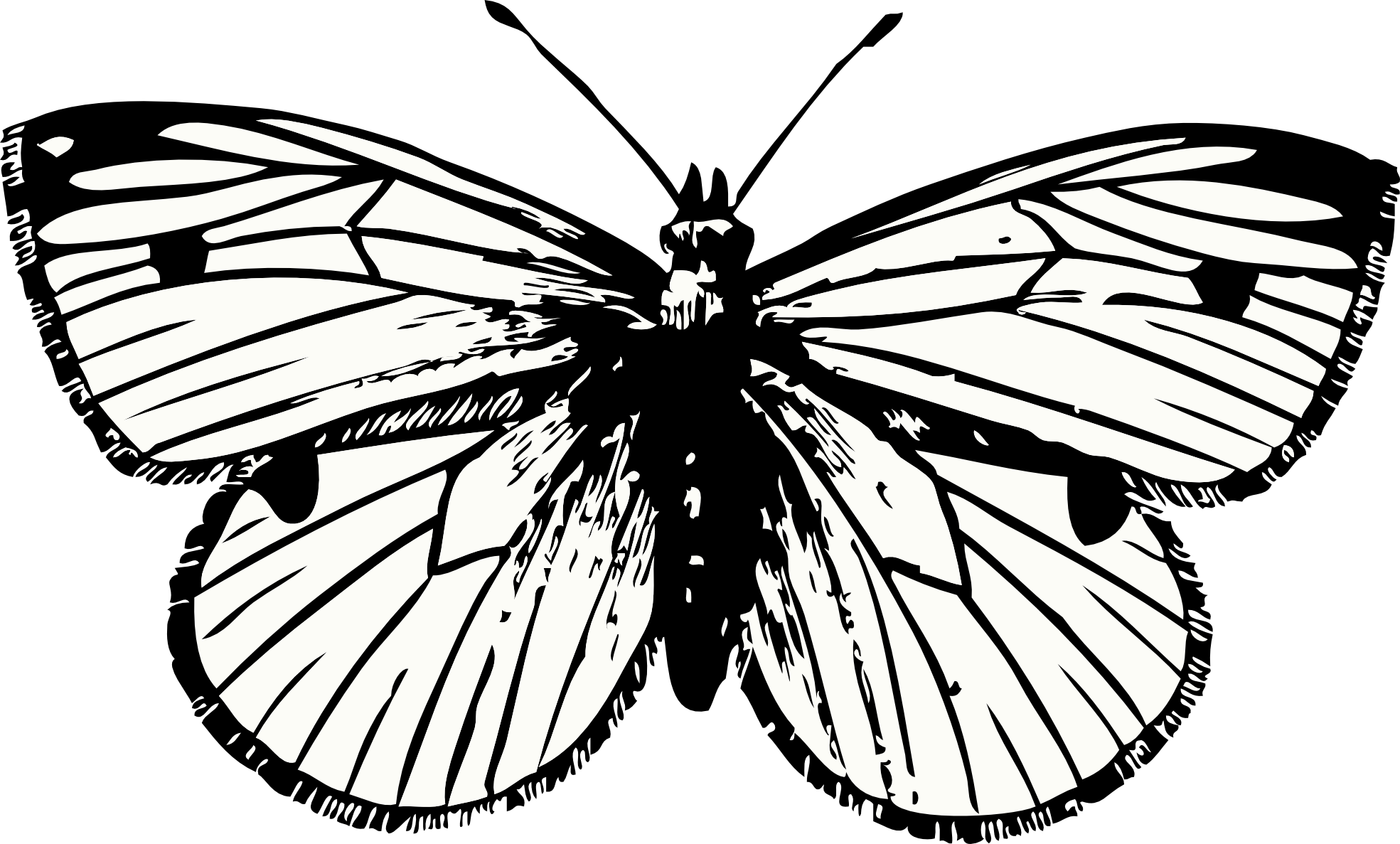 Butterfly Tattoo Png PNG Image