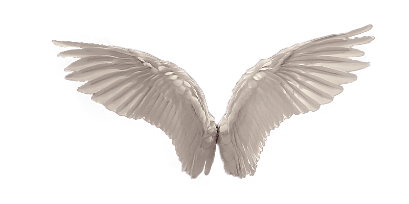 Wings Picture PNG Image