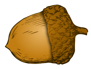 Acorn Png 6 PNG Image