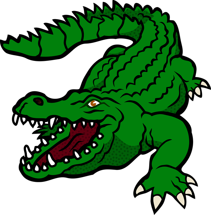 Alligator Picture Vector HQ Image Free PNG Image