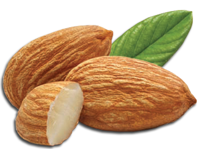 Almond Png Picture PNG Image