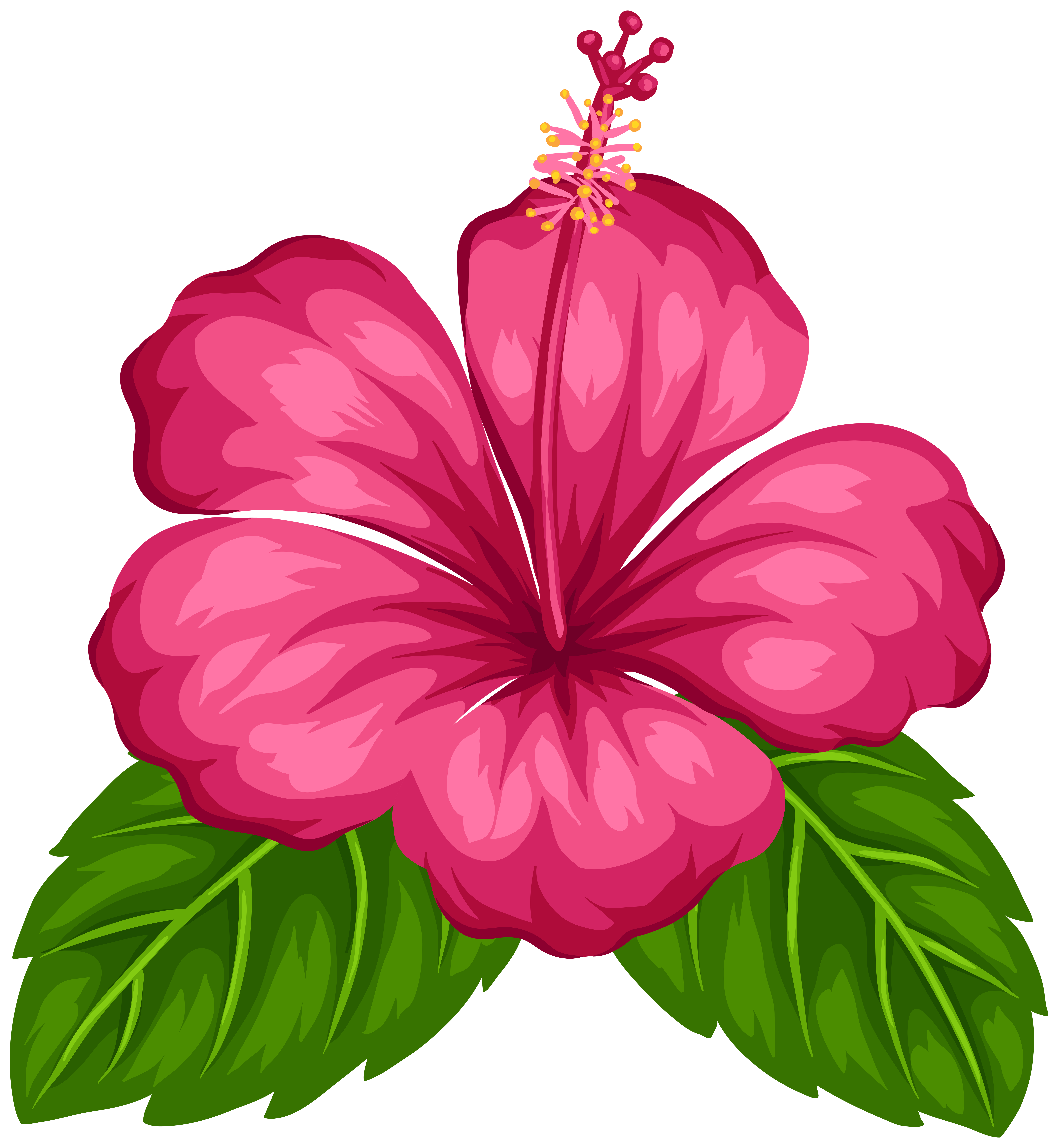 Good Greeting Morning Tropical Flower Android PNG Image