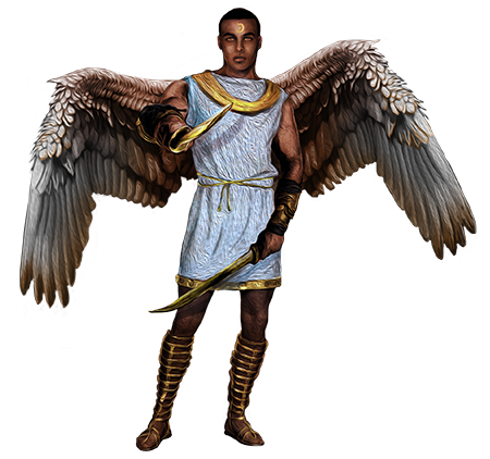 Angel Warrior Png Image PNG Image