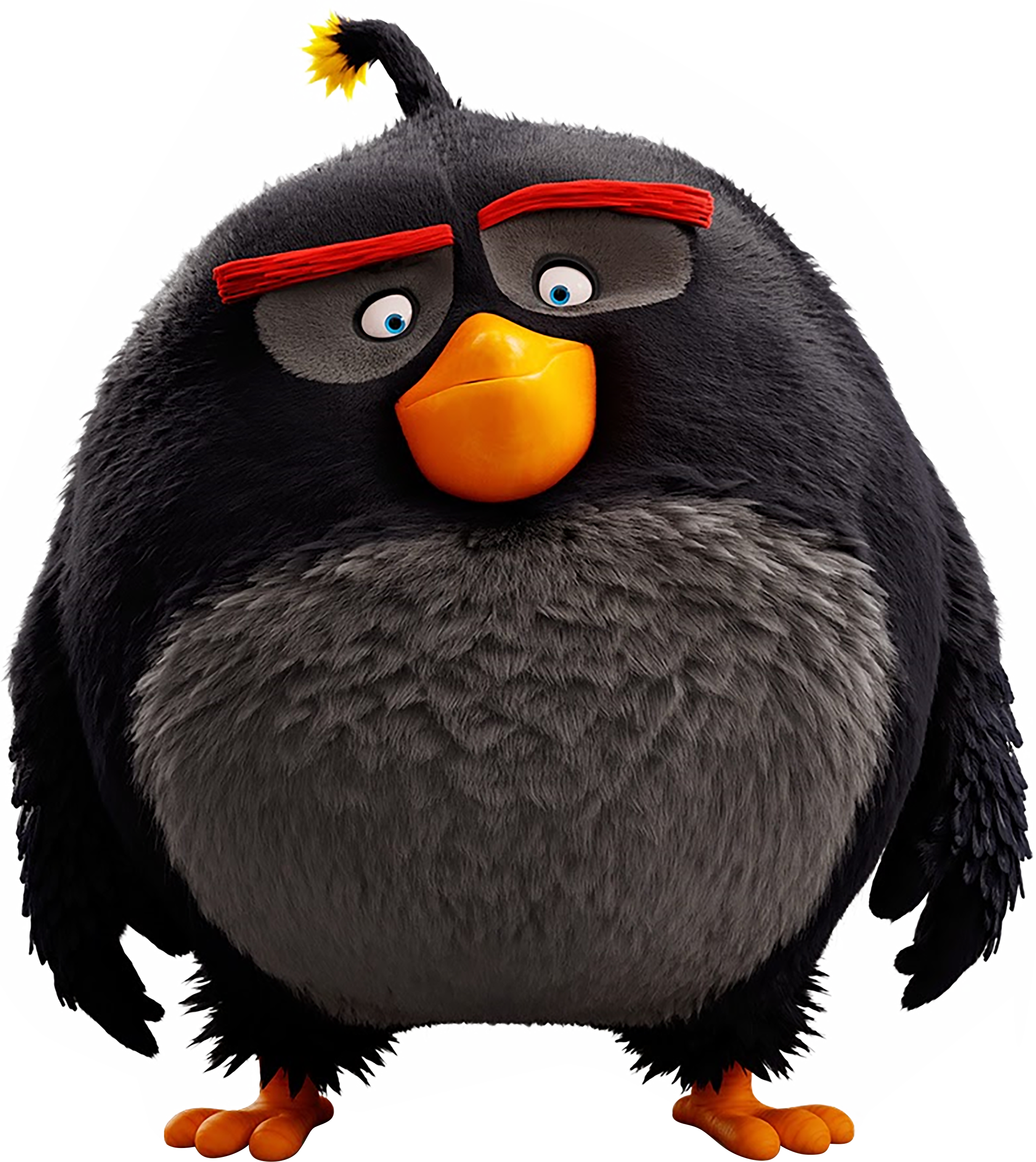 Evolution Penguin Eva Angry Bird Birthday Mom PNG Image