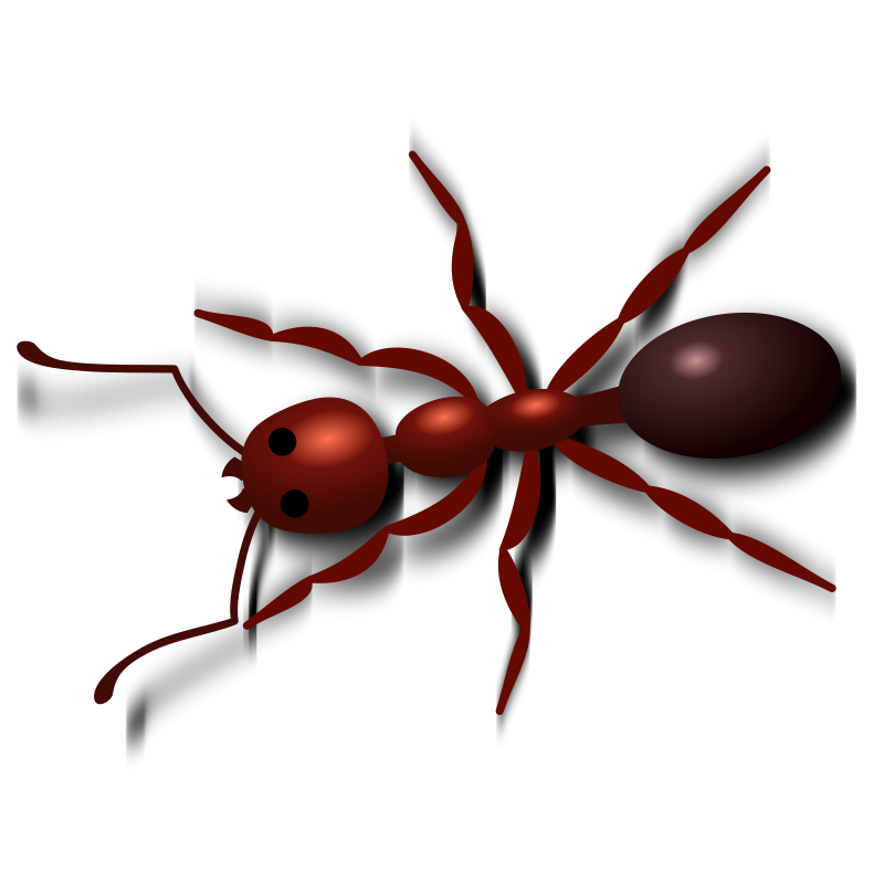 Ant Red PNG Free Photo PNG Image