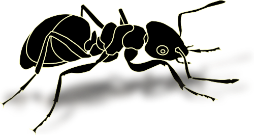 Ant Transparent PNG Image