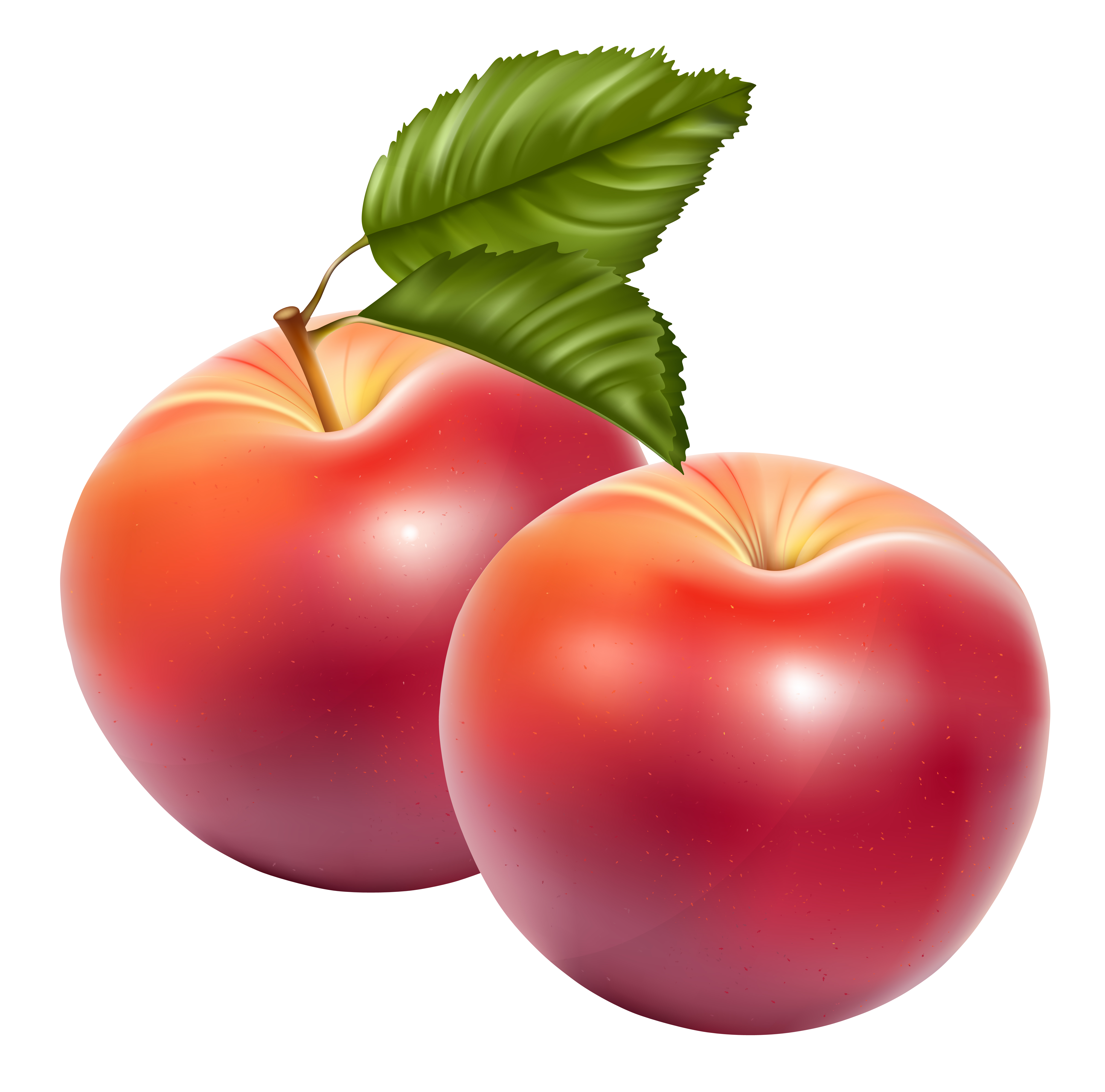 Apple Fruit Png Image PNG Image