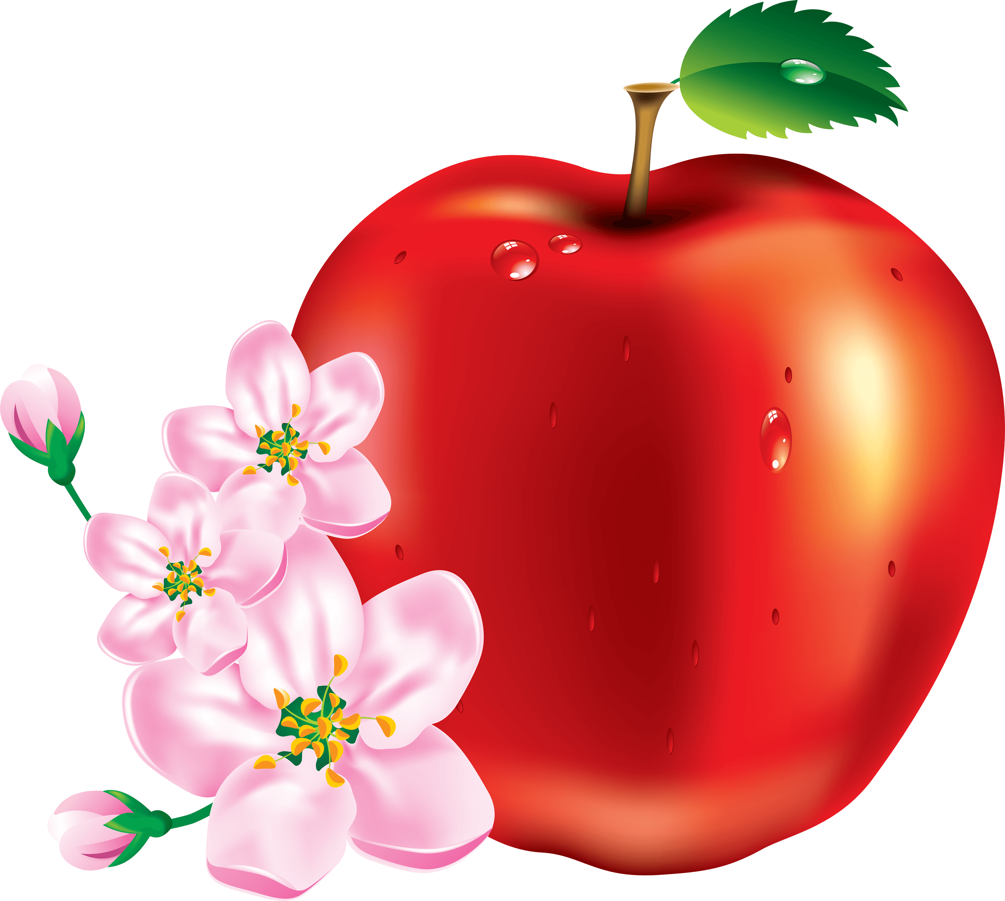 Red Apple Png Image PNG Image