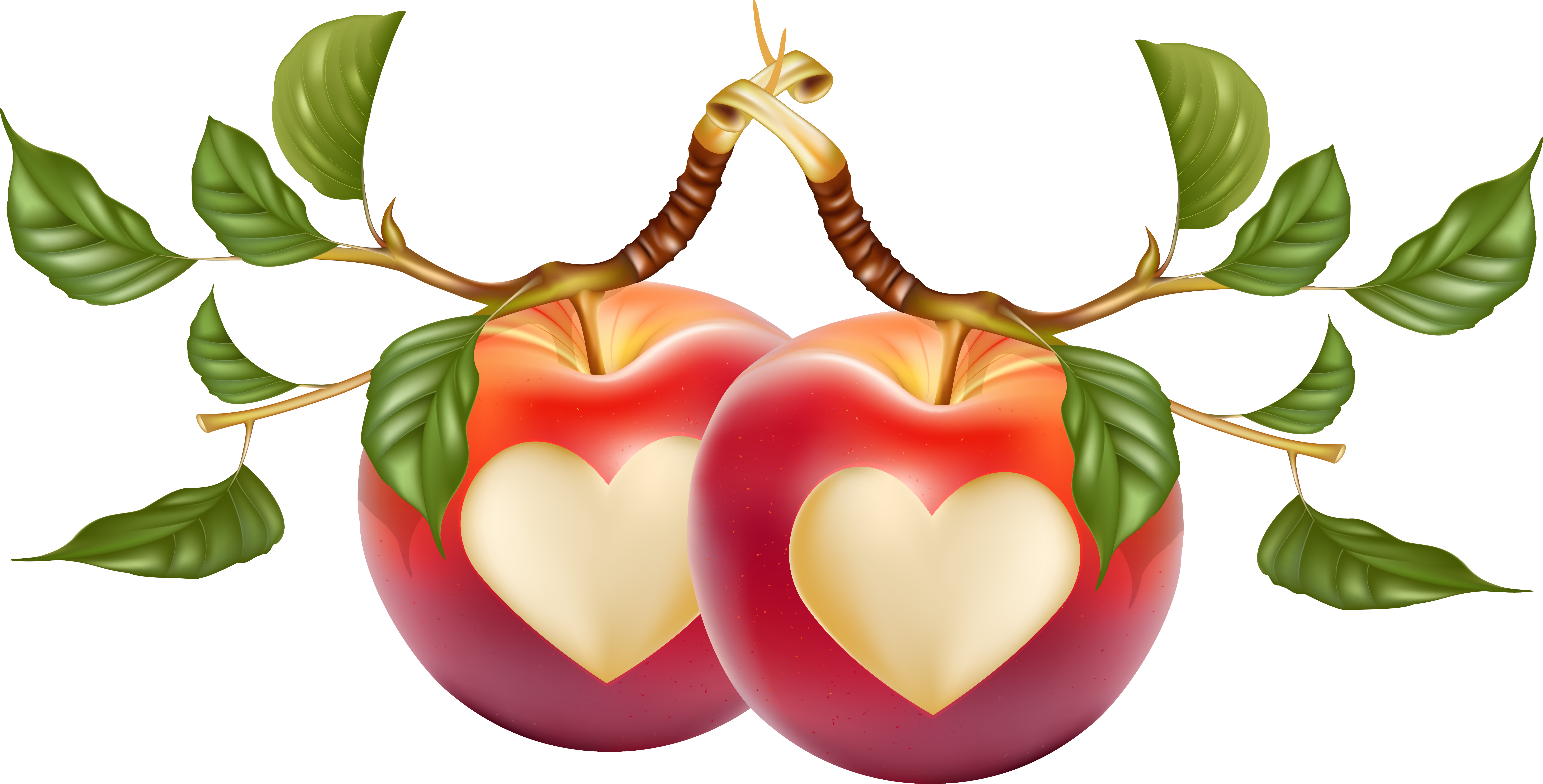 Vector Heart-Shaped Apple HQ Image Free PNG PNG Image