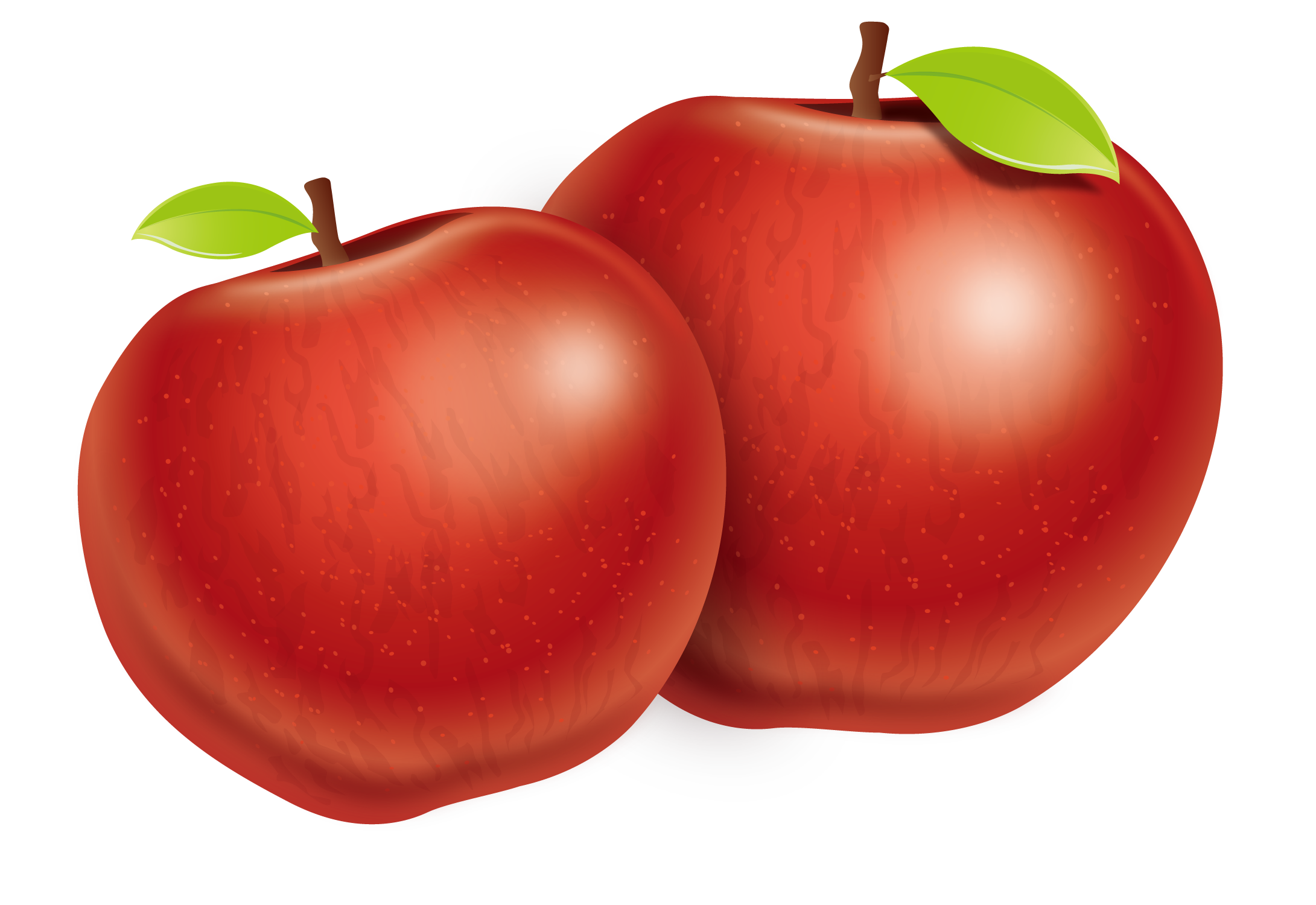 Download Free Tomato Apple Plum Two Fuji Vector Apples ICON favicon