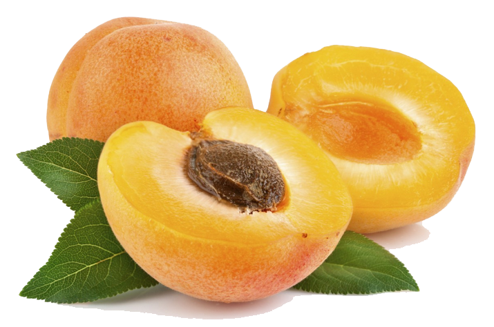 Apricot File PNG Image