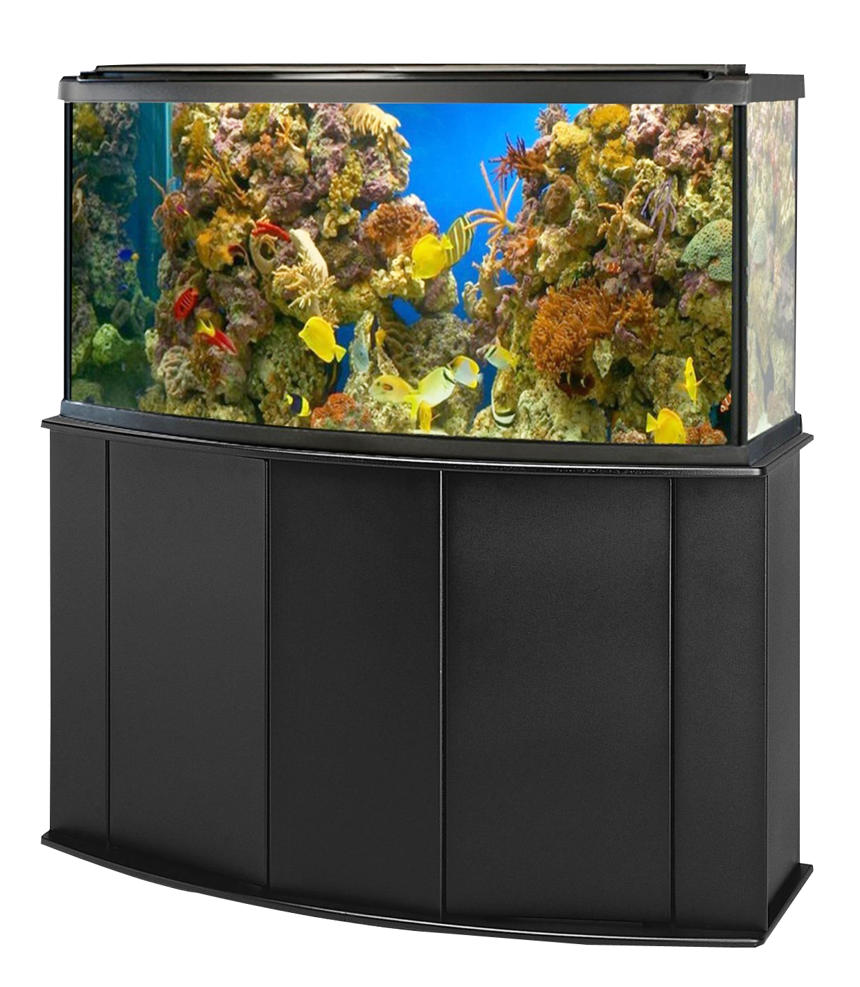 Fish Tank Aquarium HQ Image Free PNG Image