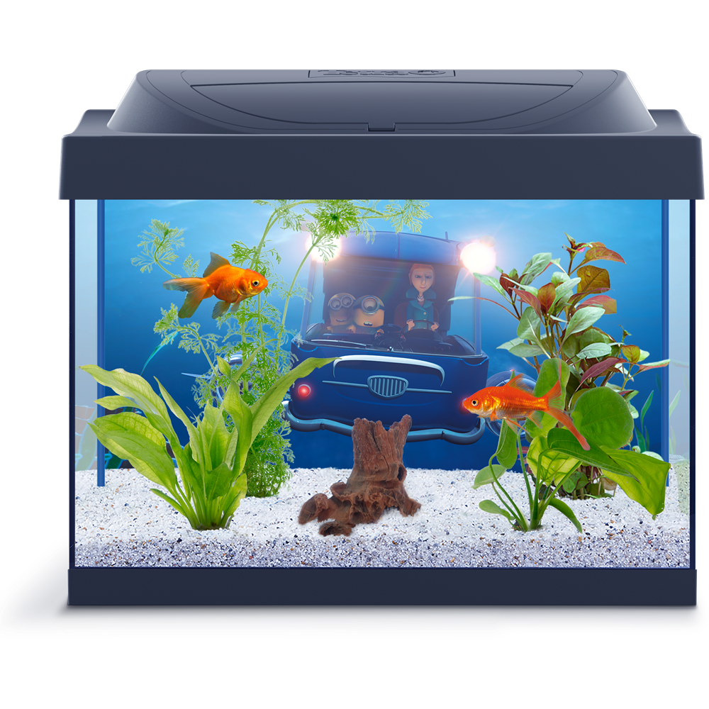 Fish Tank Download HD PNG Image